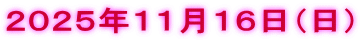 ２０２５年１１月１６日（日）